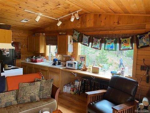 1494 Clark Rd, Bailey, CO 80421 photo 5