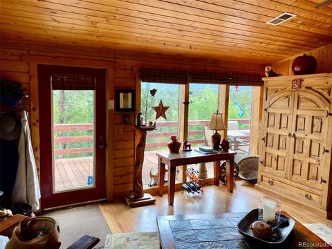 1494 Clark Rd, Bailey, CO 80421 photo 19