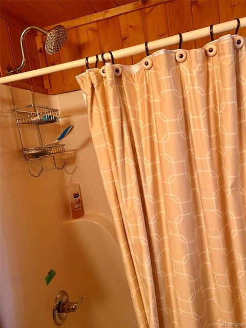 1494 Clark Rd, Bailey, CO 80421 photo 13