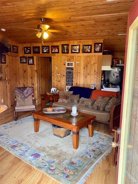 1494 Clark Rd, Bailey, CO 80421 photo 4