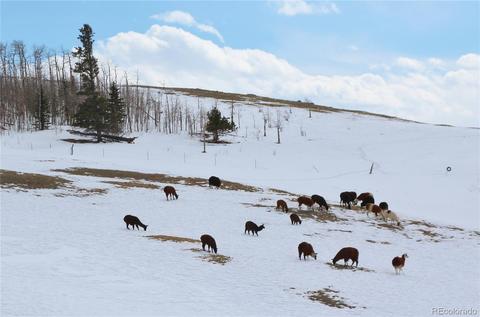 433 Mountain Vis, Como, CO 80432 photo 13