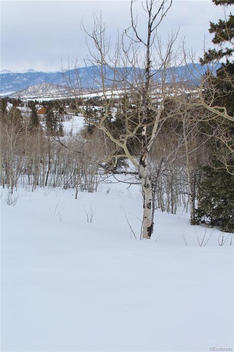 433 Mountain Vis, Como, CO 80432 photo 10