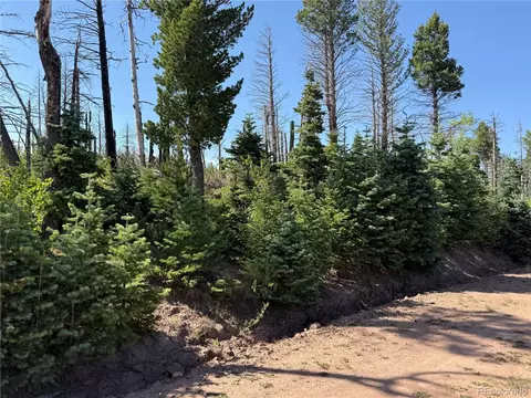 lot2498 Gilmartin Ln, Fort Garland, CO 81133