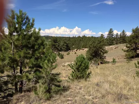 33 Jasper Way, Hartsel, CO 80449