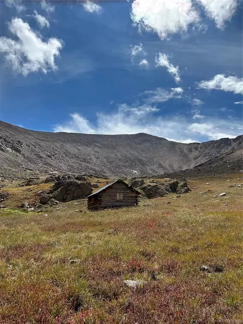 10171 Gold Buckle Group 11485 Whale Group, Leadville, CO 80461