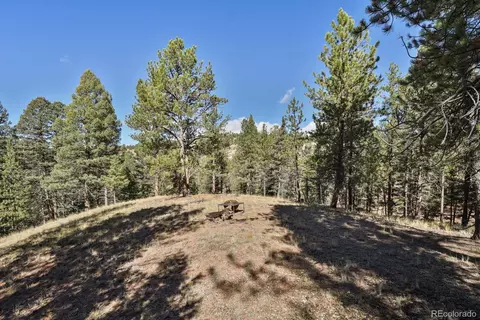 504 Bear Mountain Rd, Florissant, CO 80816