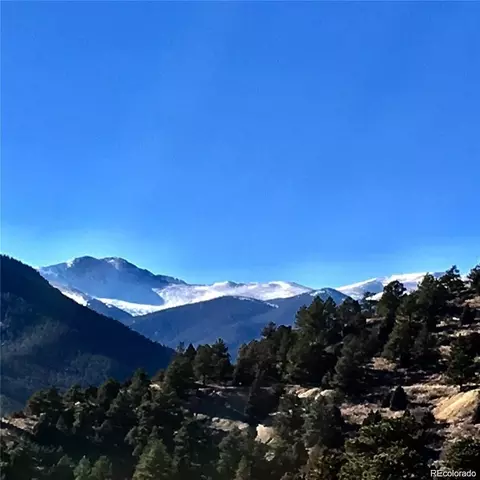 Wild Wagoner Tr, Dumont, CO 80452