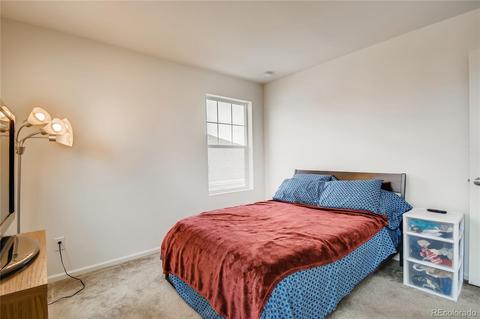 3045 E 159th Way, Thornton, CO 80602 photo 21