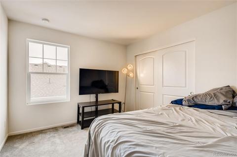 3045 E 159th Way, Thornton, CO 80602 photo 18