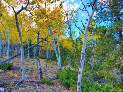 2000 Hard Hickory Trl, Guffey, CO 80820