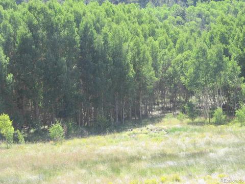 199 Opal Dr, Hartsel, CO 80449 photo 4