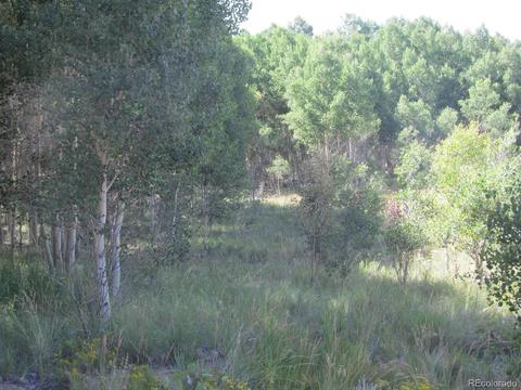 199 Opal Dr, Hartsel, CO 80449 photo 2