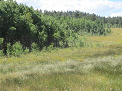 199 Opal Dr, Hartsel, CO 80449 photo 3