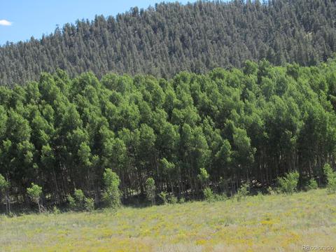 199 Opal Dr, Hartsel, CO 80449 photo 5