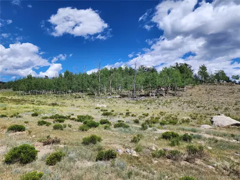2596 Ute Trce, Hartsel, CO 80449