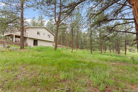 339 Kudu Trl, Bailey, CO 80421 photo 24