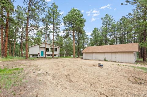 339 Kudu Trl, Bailey, CO 80421 photo 22