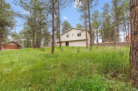 339 Kudu Trl, Bailey, CO 80421 photo 25