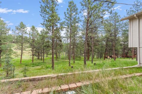 339 Kudu Trl, Bailey, CO 80421 photo 23
