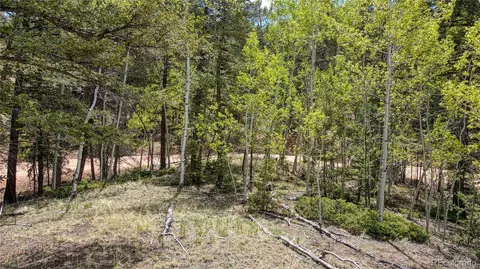 1058 Bennett Dr, Cripple Creek, CO 80813