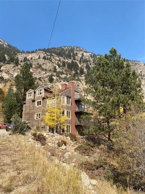 205 Loop Dr, Georgetown, CO 80444 photo 4