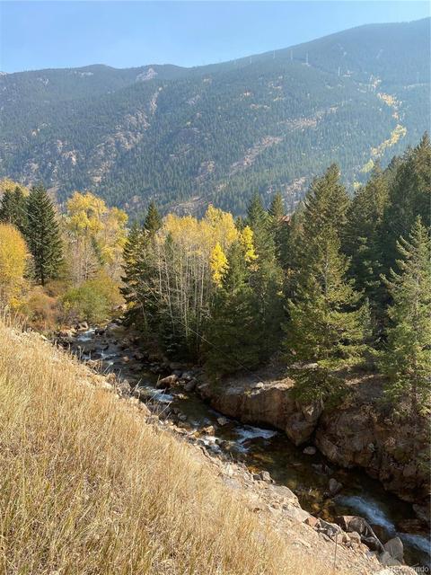 205 Loop Dr, Georgetown, CO 80444 photo 3