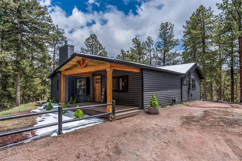 27132 Log Trl, Conifer, CO 80433 photo 4