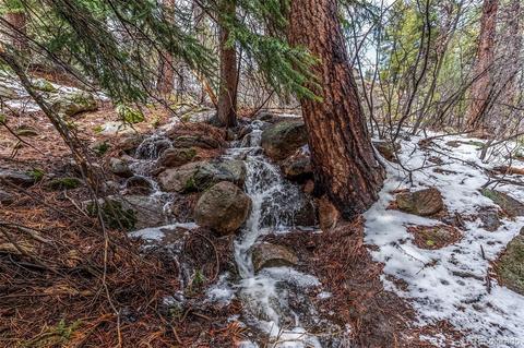 27132 Log Trl, Conifer, CO 80433 photo 33