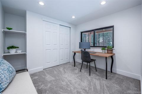 27132 Log Trl, Conifer, CO 80433 photo 25