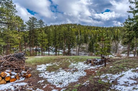 27132 Log Trl, Conifer, CO 80433 photo 34