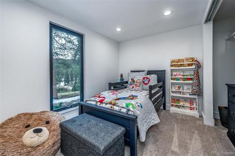 27132 Log Trl, Conifer, CO 80433 photo 24