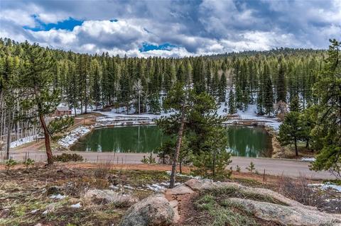 27132 Log Trl, Conifer, CO 80433 photo 31