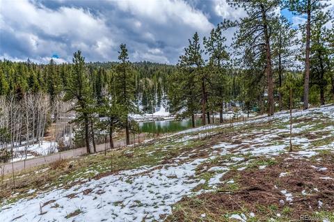 27132 Log Trl, Conifer, CO 80433 photo 35