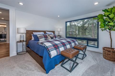 27132 Log Trl, Conifer, CO 80433 photo 20