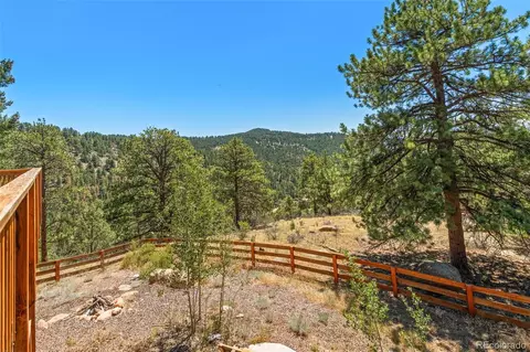 114 Star Ln, Bailey, CO 80421 photo 39
