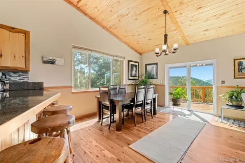114 Star Ln, Bailey, CO 80421 photo 20