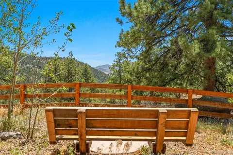 114 Star Ln, Bailey, CO 80421 photo 41