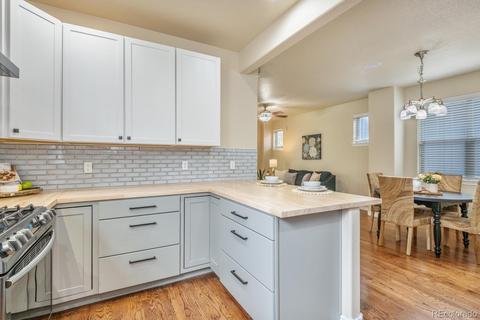 10580 E 28th Pl, Denver, CO 80238 photo 11