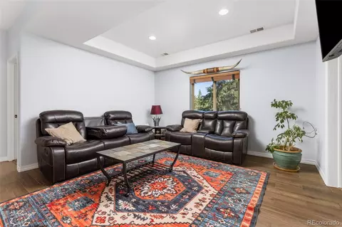 Living - 9552 Pine Springs Dr, Morrison, CO 80465 photo 4 of 4