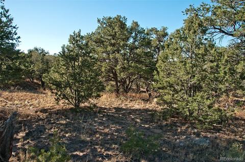 1788 Summitview Way, Crestone, CO 81131 photo 5