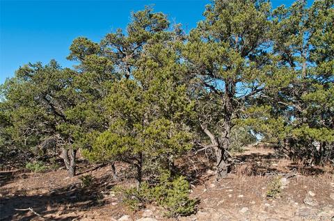1788 Summitview Way, Crestone, CO 81131 photo 6