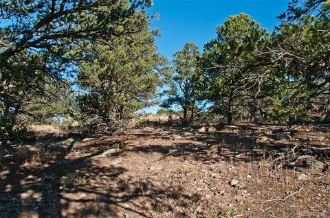 1788 Summitview Way, Crestone, CO 81131 photo 8