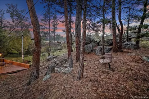 Exterior - 27131 Log Trl, Conifer, CO 80433 photo 6 of 8