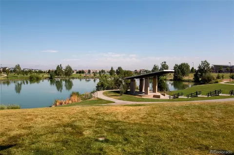 21376 E 55th Pl, Denver, CO 80249 photo 17
