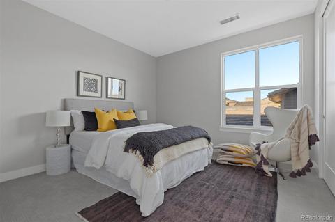 10808 Bluffside Dr, Lone Tree, CO 80124 photo 28