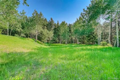 8939 Hillview Rd, Morrison, CO 80465 photo 23