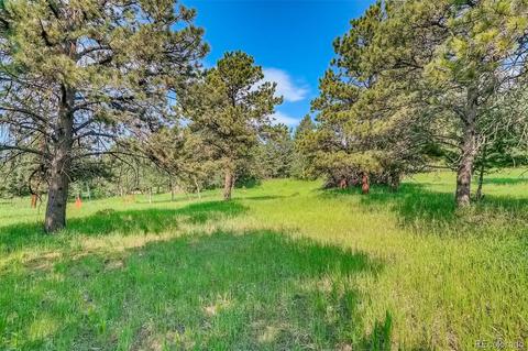 8939 Hillview Rd, Morrison, CO 80465 photo 38