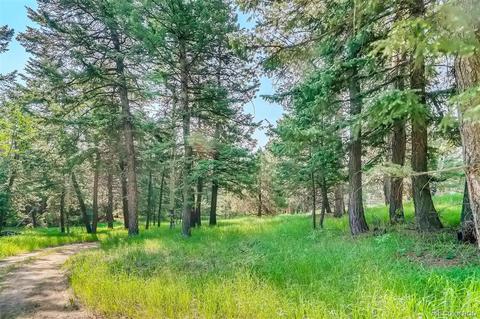 8939 Hillview Rd, Morrison, CO 80465 photo 27