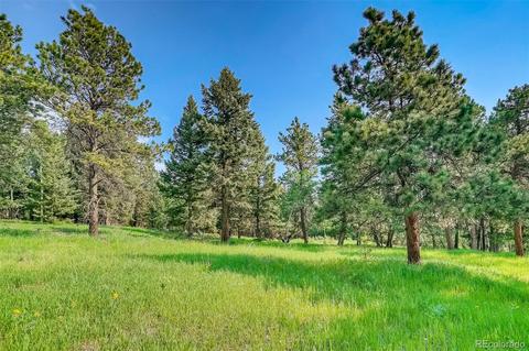 8939 Hillview Rd, Morrison, CO 80465 photo 19