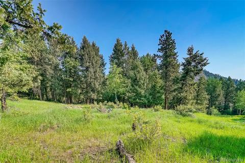 8939 Hillview Rd, Morrison, CO 80465 photo 20